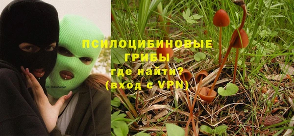 амф Россошь
