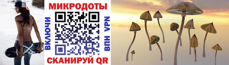 Галлюциногенные грибы прущие грибы  Балабаново 