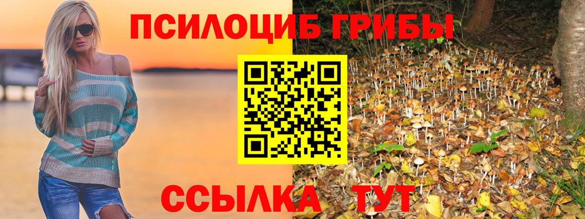 Галлюциногенные грибы прущие грибы Балабаново
