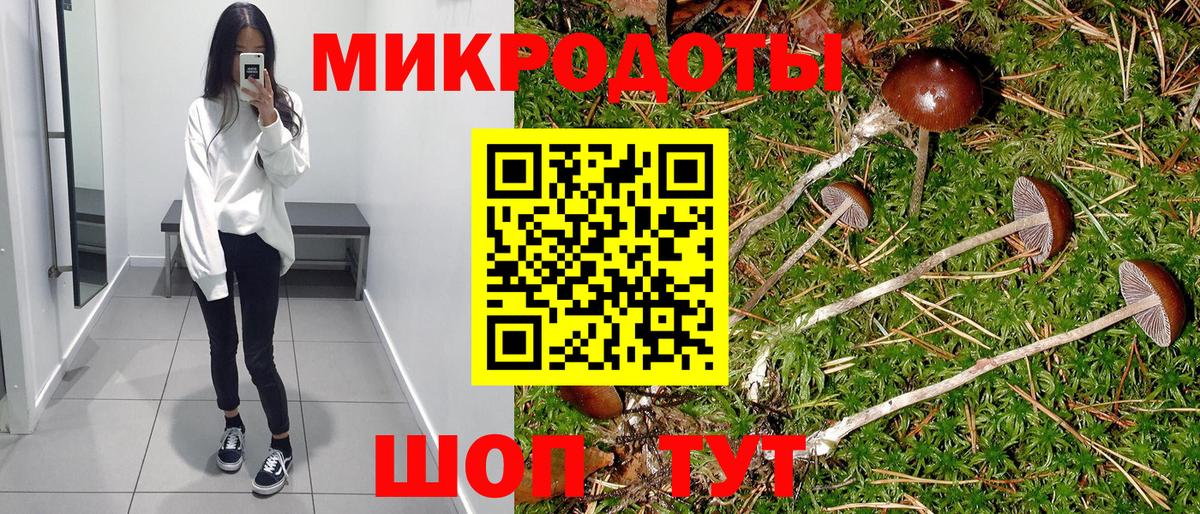 Балабаново  Галлюциногенные грибы Psilocybe  Вход с VPN 