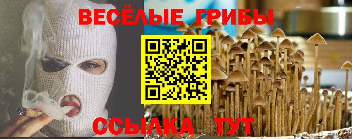 Псилоцибиновые грибы MAGIC MUSHROOMS  Балабаново 