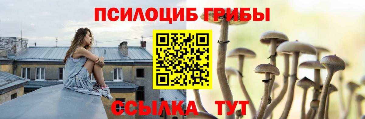 Галлюциногенные грибы мухоморы  Галлюциногенные грибы Cubensis  Балабаново  Вход с VPN 
