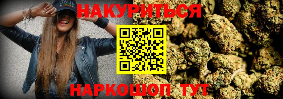Конопля сатива Балабаново